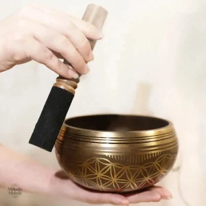 Accessoire de méditation bol chantant traditionnel