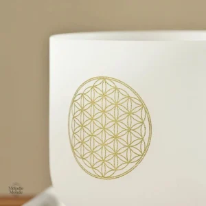 Bol tibétain en cristal, idéal pour la relaxation