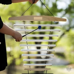 Outil de méditation avec diapason harmonique