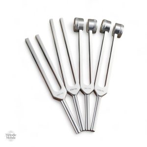 Kit de diapasons avec étui pratique