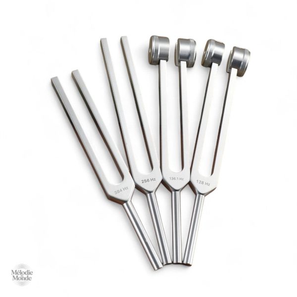 Kit de diapasons avec étui pratique