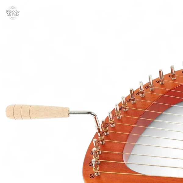 Harpe 24 cordes, parfait pour la musique relaxante