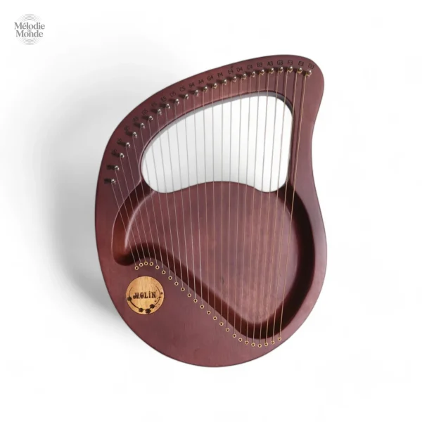 Harpe mélodique, instrument de jeu intuitif et ludique