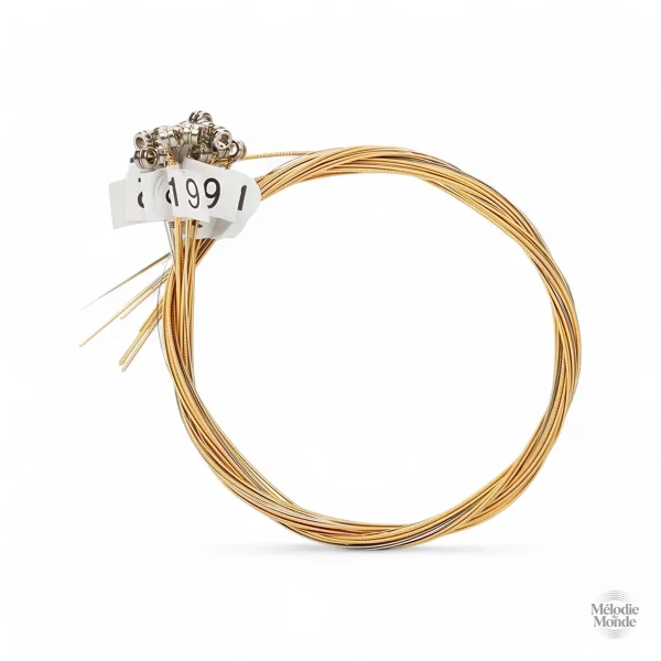Corde de remplacement pour lyres