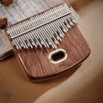 Kalimba acoustique avec résonance enrichie