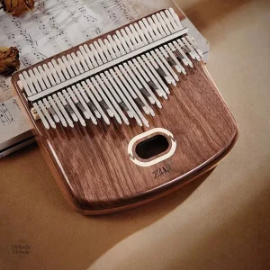 Kalimba acoustique avec résonance enrichie