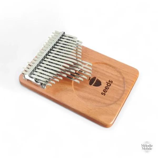 Kalimba professionnel avec sonorité riche et mélodieuse
