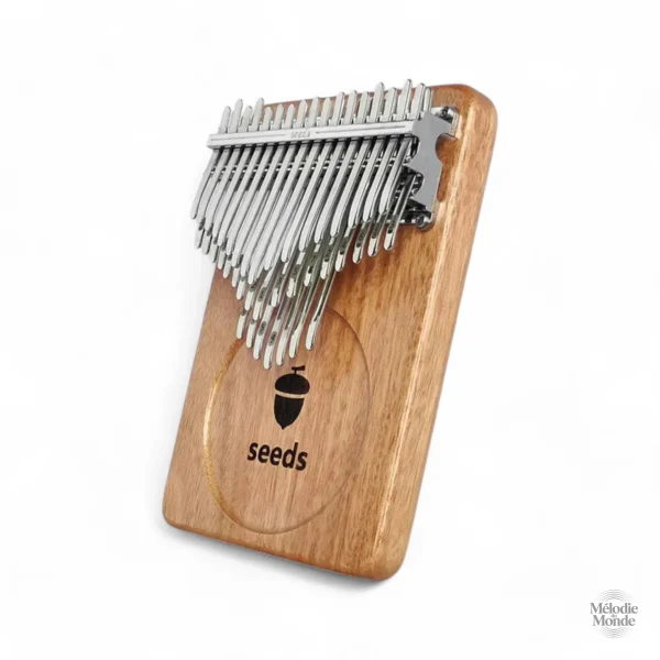 Kalimba de qualité, parfait pour débutants et experts