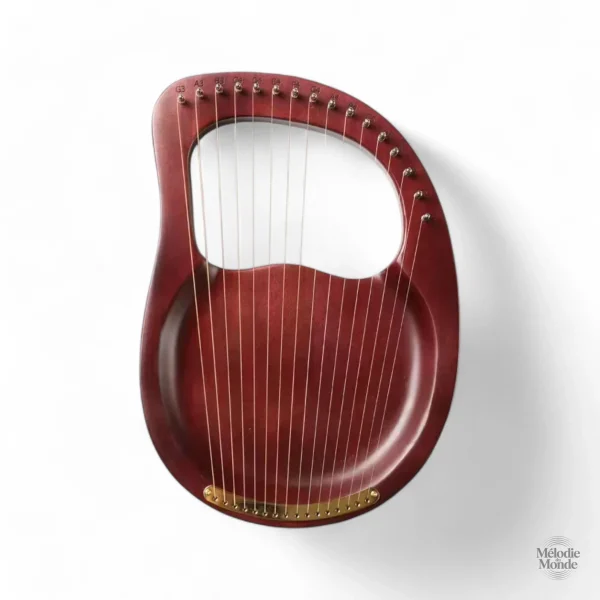 Acajou 16 cordes, parfait pour la musique folk et classique