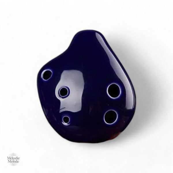 Instrument de musique facile à manipuler pour les petits musiciens