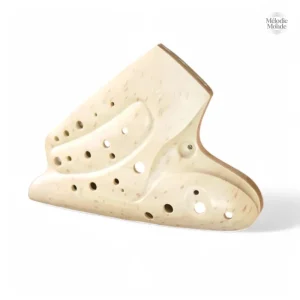 Instrument de musique ocarina, design professionnel