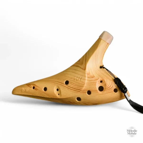 Ocarina 12 trous, parfait pour les musiciens amateurs