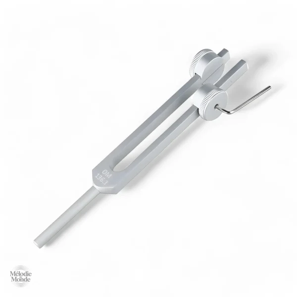 Diapasons de soins, harmonisation par vibrations sonores