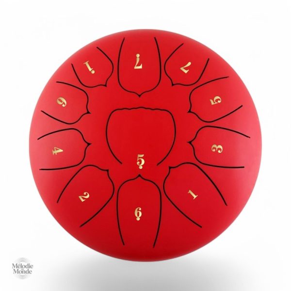 Steel Tongue Drum pour tous niveaux