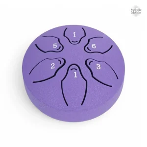 Steel Tongue Drum Compact en métal