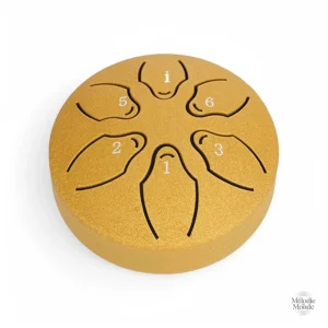 Instrument de percussion portatif en acier