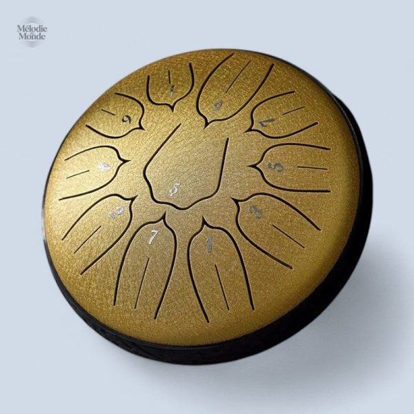 Tongue drum portable, idéal pour les musiciens en déplacement