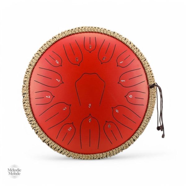 tongue-drum-debutant-1 Tongue Drum débutant pour initiation musicale