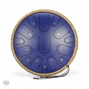 Tongue Drum Professionnel