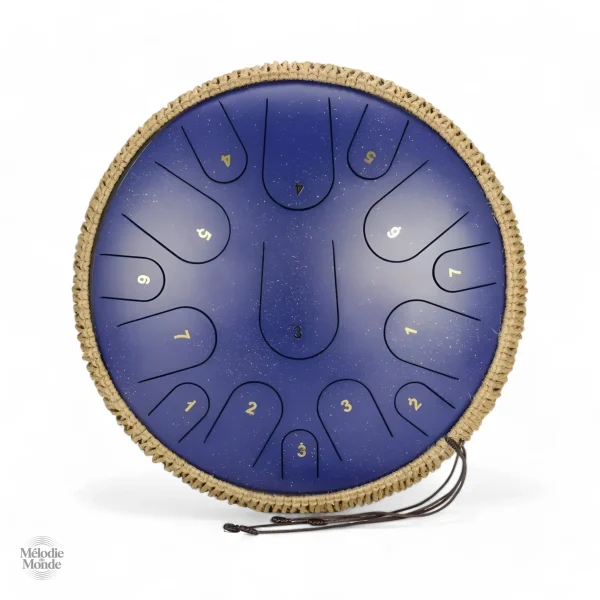 tongue-drum-professionnel-1 Tongue Drum Professionnel
